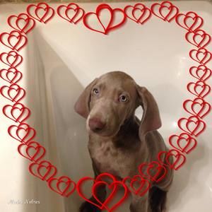 Meet your Posher, Dawna